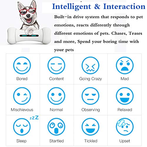 Juguetes Interactivos Indestructibles - Inteligente Bluetooth Perro Juguete Hueso Para Perros Pequeños Y Grandes - 12 Emocional - 9 Deportes - Material Seguro FDA - USB Charging (300G),tbones