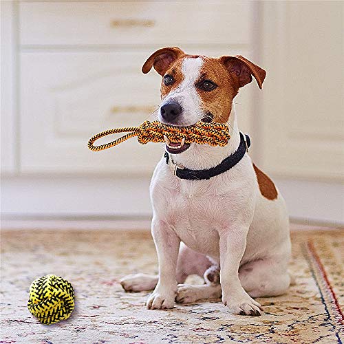 Juguetes para Masticar con Cuerda de Perro Grande, patrón de Serpiente, Cuerda de algodón Duradero, Juguete para Masticar dentición de Guerra para Perros medianos y Grandes, 3 en 1 Paquete