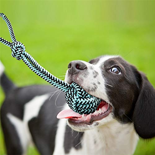 Juguetes para Masticar con Cuerda de Perro Grande, patrón de Serpiente, Cuerda de algodón Duradero, Juguete para Masticar dentición de Guerra para Perros medianos y Grandes, 3 en 1 Paquete