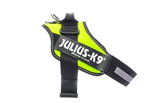 Julius-K9 16IDC - Power Harness