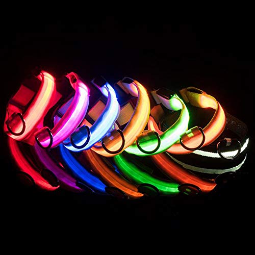 JUNSHUO Collar para perro(LED recargable),de Nylon, Perros Grandes, medianos y Pequeños | obtenible en Distintos Colores y Tamaños，Collar para Gatos ajustable（ 34-52cm）Parpadeo luminoso (L, AMARILLO)