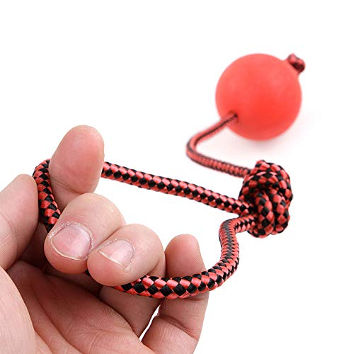 KAJIMMA 1Pcs Bolas para Perros, Juguetes para Masticar Perros Pelota de Goma para Perros La Pelota sólida rebota Extremadamente Durable, Natural y Brillante (S)