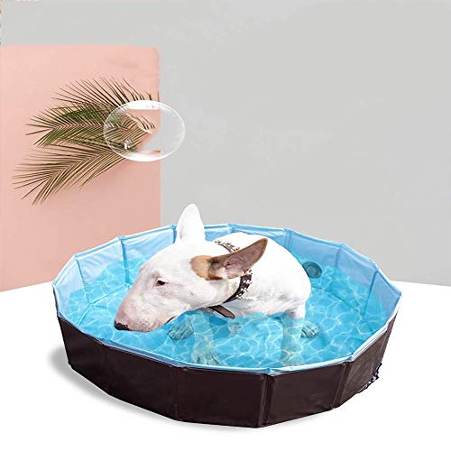 KJRJTC Plegable Perro Animal doméstico de baño de hidromasaje, Piscina for niños