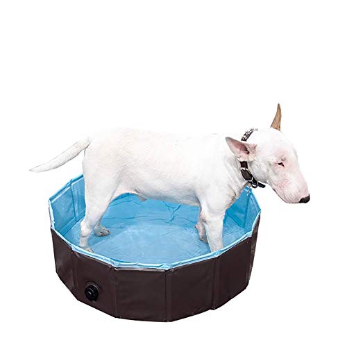 KJRJTC Plegable Perro Animal doméstico de baño de hidromasaje, Piscina for niños