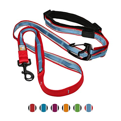 Kurgo Manos Libres para Perro Cintura Ajustable para Correr-Correa Reflectante para Pasear-Estilo Quantum-Disponible en Azul Rojo Naranja, Medium