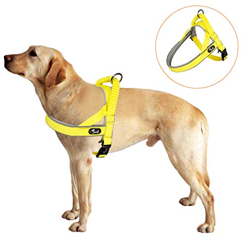 Lampop Arnés para Perros, Reflectante, Impermeable, Duradero, arnés Ajustable para Perros pequeños a medianos