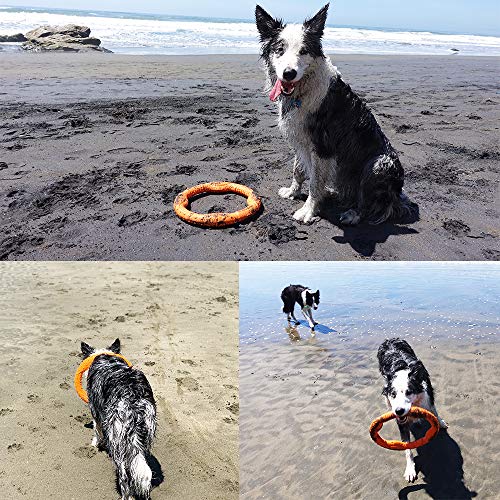 LaRoo Dog Frisbee Dog Disc Toy, Disco de Lanzamiento Duradero para Perros Fuertes para Perros pequeños, medianos y Grandes, Deporte, Ejercicio, Actividad y Juegos al Aire Libre (30 cm Naranja)