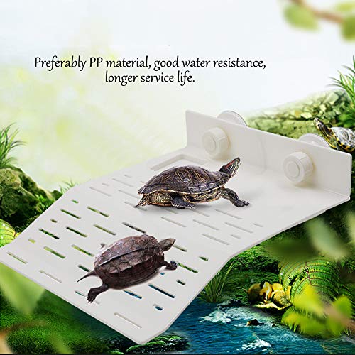 LFS Turtle Bank - Plataforma Flotante para canastas