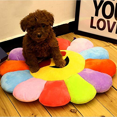 LIRUI Cama Ortopédica para Perro - Comodidad óptima Su Mascota,Colchón Viscoelástico con Funda Extraíble Y Revestimiento Antideslizante (60 * 60cm),M(50 * 50cm)