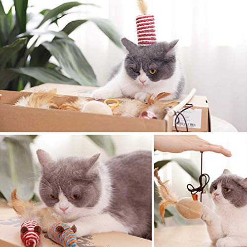 LLYU Caja de Regalo de Juguete para Gatos, Juego de Varita interactiva, 7 Piezas de Juguete de Plumas reemplazables