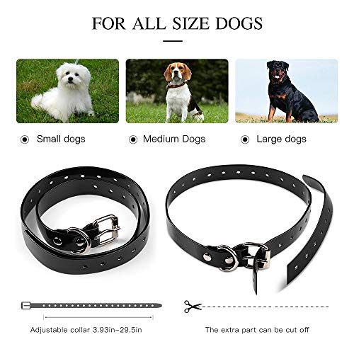 Mainbon Collar para Perros Largo Alcance hasta 800m 100% Impermeable