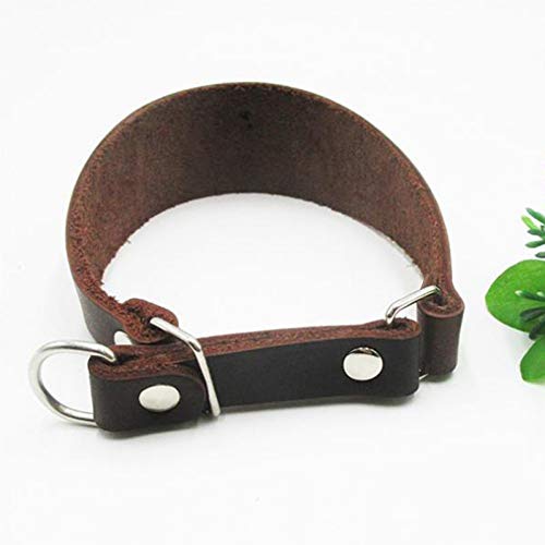 MAOBANG Collar Collar para Perros Collar para Mascotas Cuello Delgado Accesorios para Collar para Mascotas Collar de Perro de Caza Duradero Marrón, marrón, 32-36cm