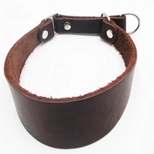 MAOBANG Collar Collar para Perros Collar para Mascotas Cuello Delgado Accesorios para Collar para Mascotas Collar de Perro de Caza Duradero Marrón, marrón, 32-36cm