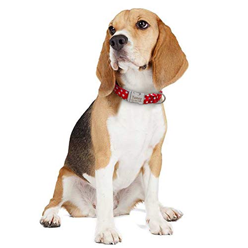 MAOBANG Collar Collar para Perros Punto Collares para Perros Collares para Mascotas de Nylon Pequeño Mediano Grande Pitbull para Mascotas Rojo Negro, Rojo, M