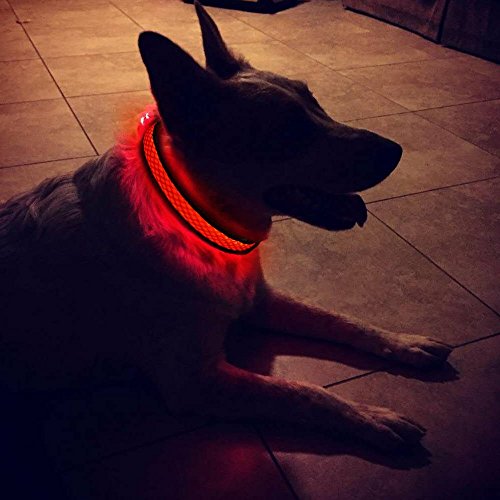 MASBRILL USB Collar de Perro LED Recargable Iluminado Collar Intermitente Luces La Seguridad Ajustable Neck Loop