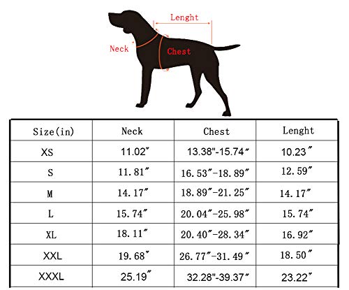 Morezi - Abrigo de Invierno Reflectante para Mascotas, Abrigo Deportivo cálido de Doble Capa, Ropa de Nieve, 5 tamaños para Perros pequeños, medianos y Grandes