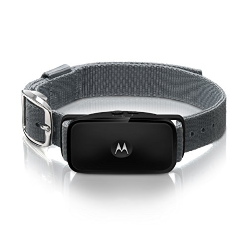 Motorola BARK200U - Collar ultrasónico de Control de ladridos para Perros (ningún Choque), Color Negro