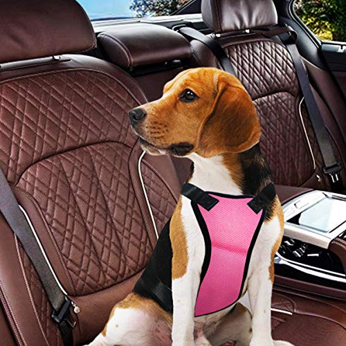 Musonic Chaleco de Seguridad para Perros con cinturón de Seguridad para la mayoría de los Coches, Chaleco de Correa de Viaje con cinturón de Seguridad Ajustable, Ligero y cómodo, Color Rojo