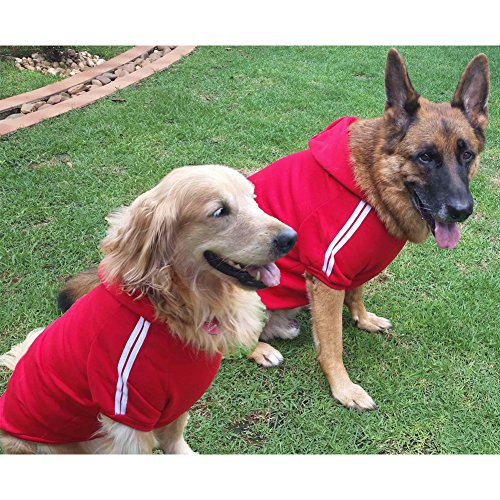 Namsan - Sudaderas deportivas con capucha para perros medianos y grandes