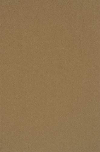 Netuno 100 Hojas de Papel Kraft marrón Arena 340 g, DIN A4 210 x 297 mm, cartón Natural ecológico, Ideal para Scrapbooking, Trabajos de diseño, Invitaciones, Tarjetas de Negocios, menús