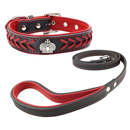 Newtensina Moda Perro Collar y correa conjunto Correas de nylon tejidas Collar de Bling Collar de cuero Diamante cachorro con correa para perros