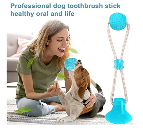 Nifogo Pet Molar Bite Toy ，Juguete Multifuncional para mordedura de Molar Juguete con Ventosa Juguetes para morder para Perros Juguetes para Perros Molar para Mascotas (Verde, 2 pcs)