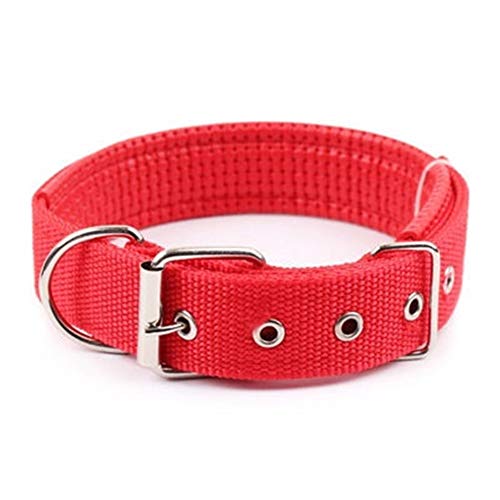 NO LOGO Cuello De Perro De Correa De Nylon Ajustable Cómoda De 4.0 * 60 Cm De Longitud For Collares De Perros Pequeños Y Grandes 4 Colores Convenience (Color : Red, Size : M)