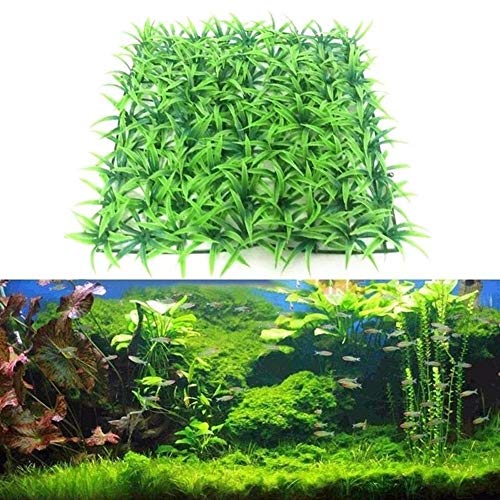 No Logo Planta Adornos 4PCS Acuario Artificial de Agua de plástico Verde césped de Hierba denso/Planta Flexible Suave Escaso Ocho Hojas del trébol de Eco-Amigo para Uso en Interiores y Exteriores