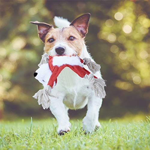 Nollary Juguetes chirriantes para Perro, sin Relleno, diseño de Zorro y Ardilla, Juguete para Perro con Cuerda de algodón y Sonido BB, Regalo Divertido para Cachorros y Perros pequeños