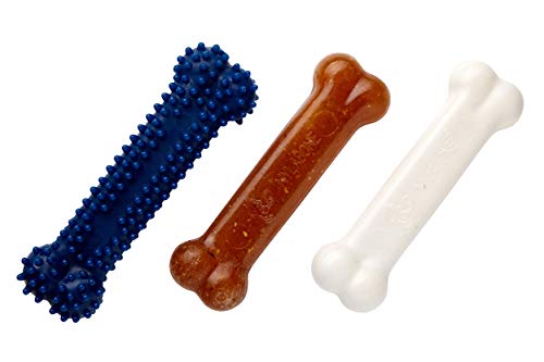 Nylabone Cachorro Starter Kit