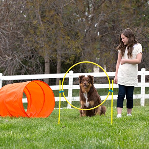 Outward 2528 Hound - Set de Entrenamiento de Agilidad de Perros ZipZoom, Multicolor (Naranja)