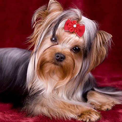 Pasamer 20pcs Shinning Pet Puppy Hair Bows Hair Rope Cat Dog Teddy Maltese Hair Band Headwear Accesorios de Aseo Rojo Azul Rosa Púrpura