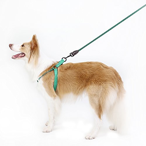 Pawaboo Kit de Correa y Arnés para Perro, Ajustable Cuerda y Arnés del Chaleco para Cachorro para Entrenamiento pasear Correr con su Mascota, Talla L - Verde