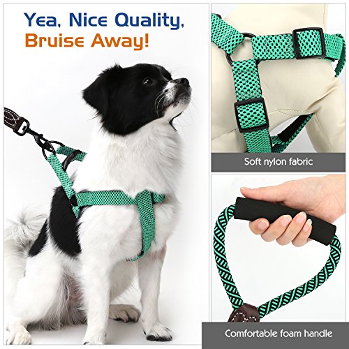 Pawaboo Kit de Correa y Arnés para Perro, Ajustable Cuerda y Arnés del Chaleco para Cachorro para Entrenamiento pasear Correr con su Mascota, Talla L - Verde