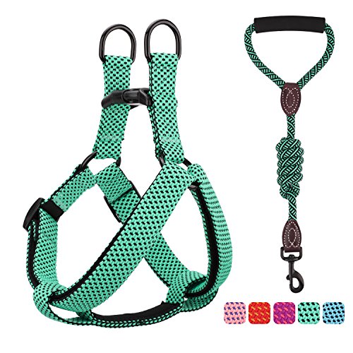 Pawaboo Kit de Correa y Arnés para Perro, Ajustable Cuerda y Arnés del Chaleco para Cachorro para Entrenamiento pasear Correr con su Mascota, Talla L - Verde