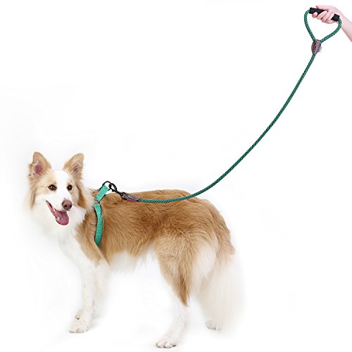 Pawaboo Kit de Correa y Arnés para Perro, Ajustable Cuerda y Arnés del Chaleco para Cachorro para Entrenamiento pasear Correr con su Mascota, Talla L - Verde