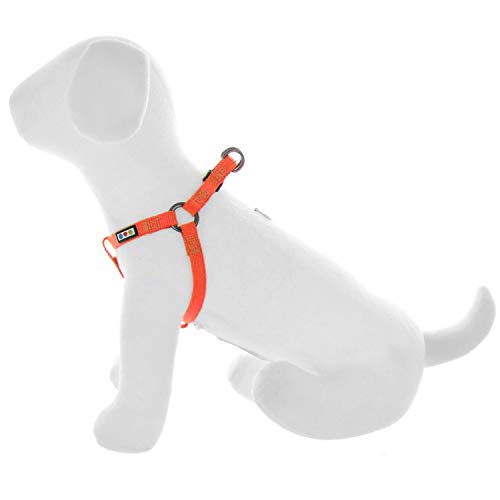 Pawtitas Arnes de Entrenamiento Chaleco Pechera para Perros y Cachorros arnes de adiestramiento Ideal para Caminar Perros Cachorros arnes Pequeño Color Turquesa