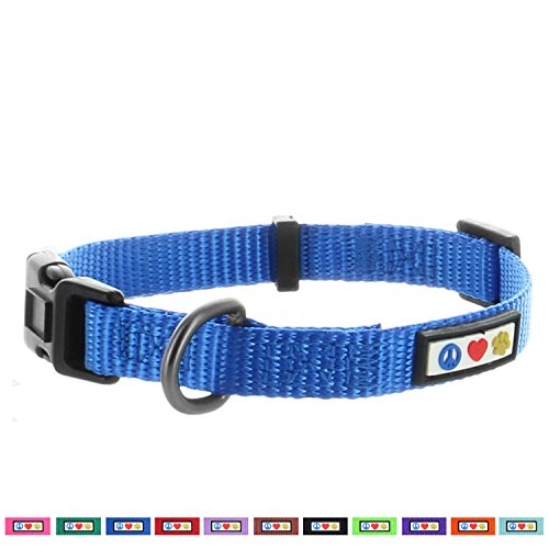 Pawtitas Collar para Perros Ideal para el adiestramiento de tu Mascota, Collar de Perro cómodo y Duradero con Anillo de Metal para Etiqueta de Nombre - Collar Color Azul XS