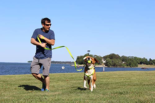 Pawtitas Correa para Perros Correa para Cachorros de 1.80 m Comoda Ideal para Razas Muy pequeñas y pequeñas Correa de Entrenamiento Verde