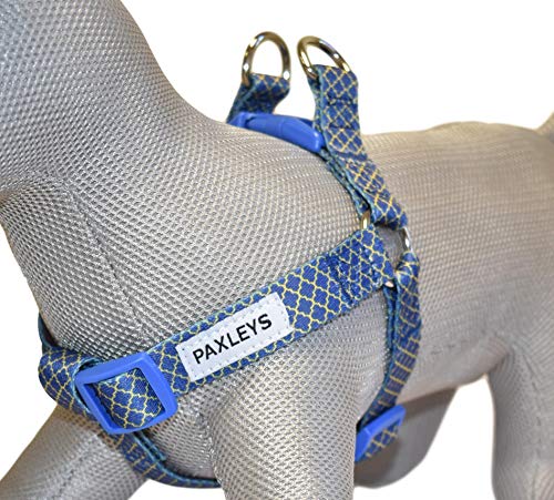 Paxleys Arnés para Perro Dorado y Azul Art Deco tamaños Mediano y Grande