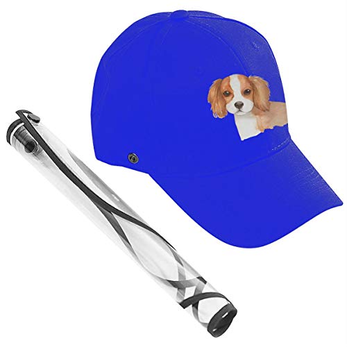 Perro Animal Perro Mascota Cara Completa Gorra de béisbol Protectora con Placa de protección extraíble