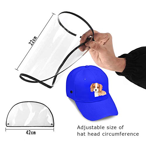 Perro Animal Perro Mascota Cara Completa Gorra de béisbol Protectora con Placa de protección extraíble