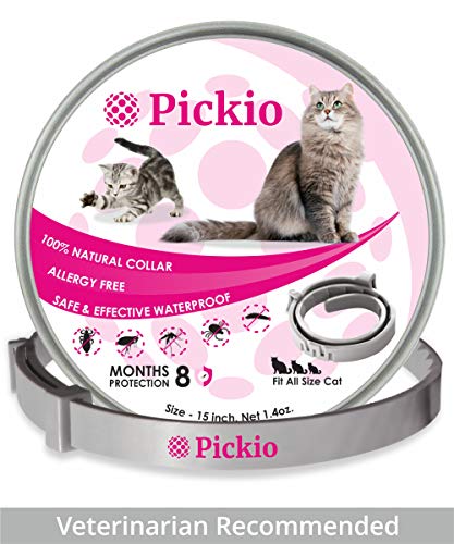 PET ARTIST Collar de Perro de Piel Trenzada con Placa de Nombre para Mascotas, Collar de Perro de Cuero Personalizado para Perros Grandes, Grabado con Etiquetas de identificación, Azul, Rojo, M/L/XL