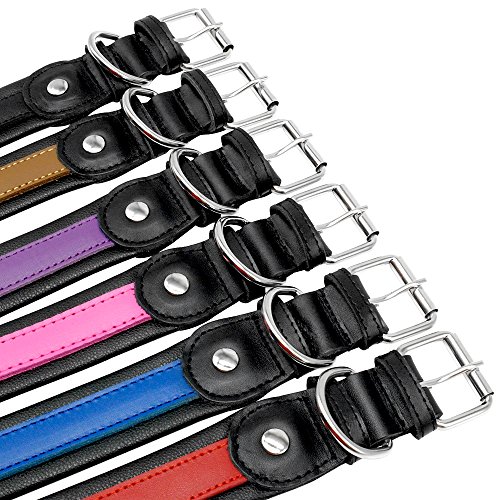 PET ARTIST Collar para Perro con Nombre de Perro Grabado Personalizado de Piel Acolchada para Mascotas, Etiquetas de identificación para Mascotas