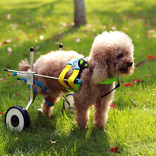 PET HOUND Silla de Ruedas Ajustable Auxiliar para Perro Coche para Rehabilitación Silla de Ruedas de Entrenamiento Ajustable para rehabilitación de Mascotas para Perros discapacitados