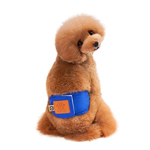 PETCUTE Pañales para Perro Macho Pañales Lavables Bragas Perros con Alta absorbencia para Perros y Cachorros 2 Unidades