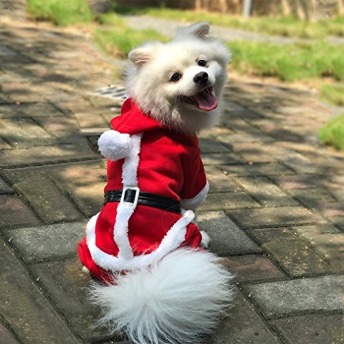 PETCUTE Trajes de Navidad para Perros Ropa Papa Noel para Perros Ropa navideña Papa Noel para Perros