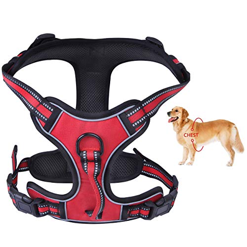 PETGDS Arnés del Perro Antitirones Básicos Adjustable de Nylon, 3M Reflectante para Las Actividades al Aire Libre, Perros Coche Adiesreamiento Bicicleda Correr Chaleco Acolchado Ajustable - Rojo(M)