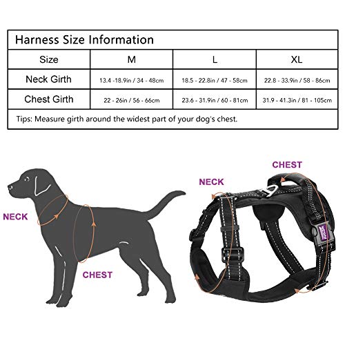 PETLOFT Arnés de Perros, Ajustable Arnés Reflectante Correa para Perro Pequeño Mediano Grande, No-Pull Dog Harness con Anillos de Acero Inoxidable, Control Fácil (M, Negro)