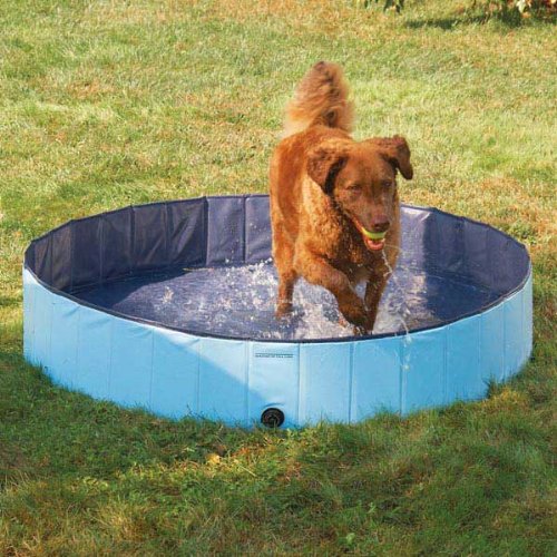  – Piscina infantil de perro para mantenerlos fresco en caliente Días de verano